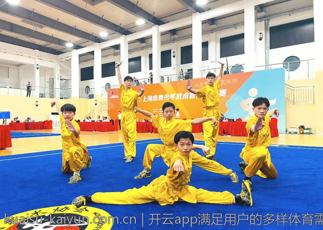 开云app满足用户的多样体育需求