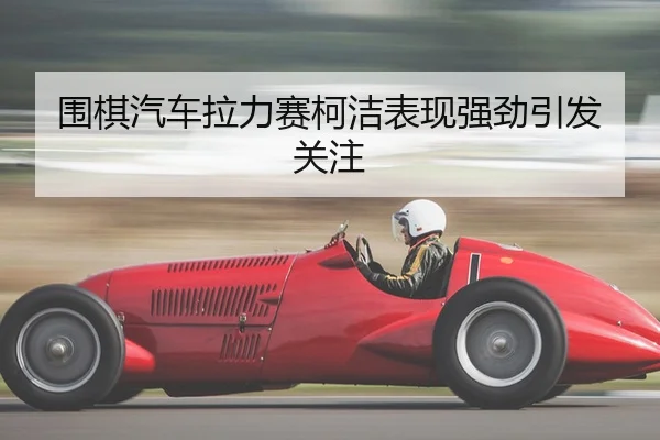 wei-qi-qi-che-la-li-sai-ke-jie-biao-xian-qiang-jing-yin-fa-guan-zhu-2-373.jpg
